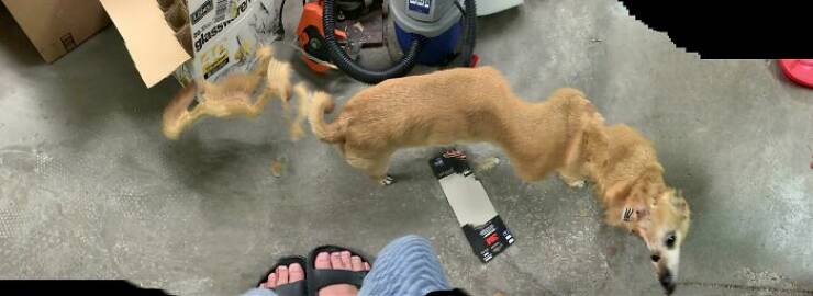 Panoramic Fiascos: When Wide Views Take A Hilarious Turn
