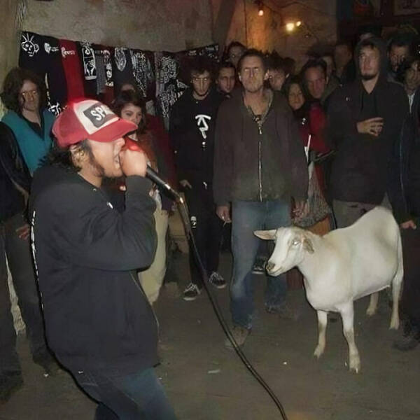 Embrace The Bizarre: Cursed Pics To Spice Up Your Day Embrace The Bizarre: Cursed Pics To Spice Up Your Day