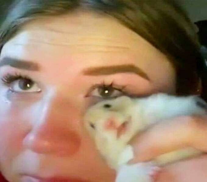 Embrace The Bizarre: Cursed Pics To Spice Up Your Day Embrace The Bizarre: Cursed Pics To Spice Up Your Day