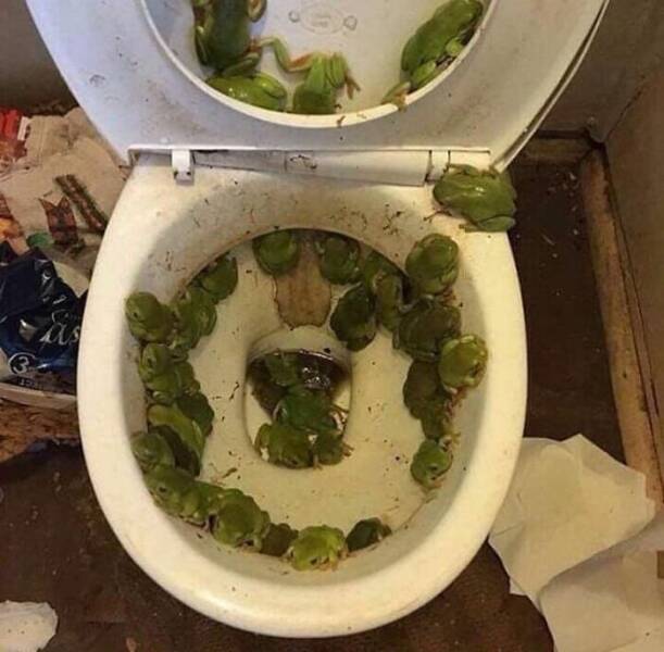 Embrace The Bizarre: Cursed Pics To Spice Up Your Day Embrace The Bizarre: Cursed Pics To Spice Up Your Day