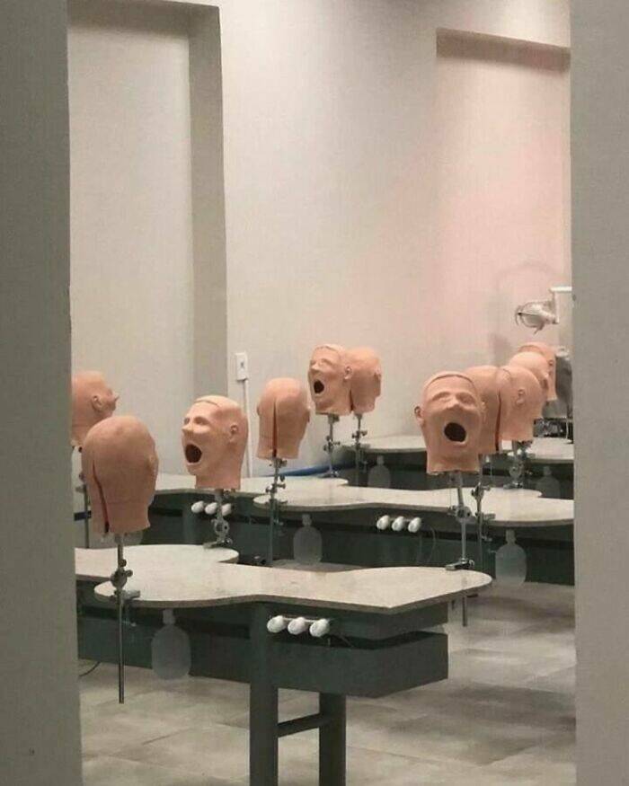 Embrace The Bizarre: Cursed Pics To Spice Up Your Day Embrace The Bizarre: Cursed Pics To Spice Up Your Day