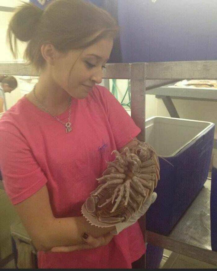 Embrace The Bizarre: Cursed Pics To Spice Up Your Day Embrace The Bizarre: Cursed Pics To Spice Up Your Day