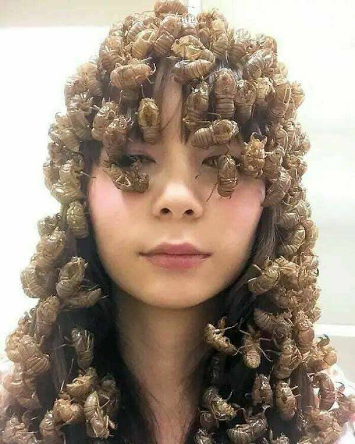 Embrace The Bizarre: Cursed Pics To Spice Up Your Day Embrace The Bizarre: Cursed Pics To Spice Up Your Day