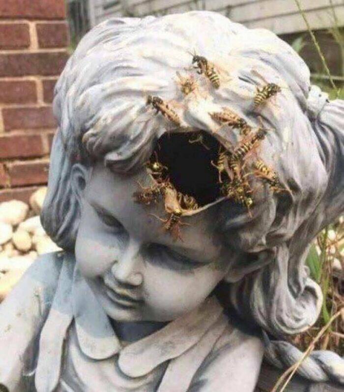Embrace The Bizarre: Cursed Pics To Spice Up Your Day Embrace The Bizarre: Cursed Pics To Spice Up Your Day