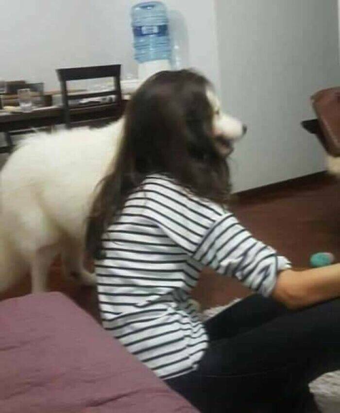 Embrace The Bizarre: Cursed Pics To Spice Up Your Day Embrace The Bizarre: Cursed Pics To Spice Up Your Day