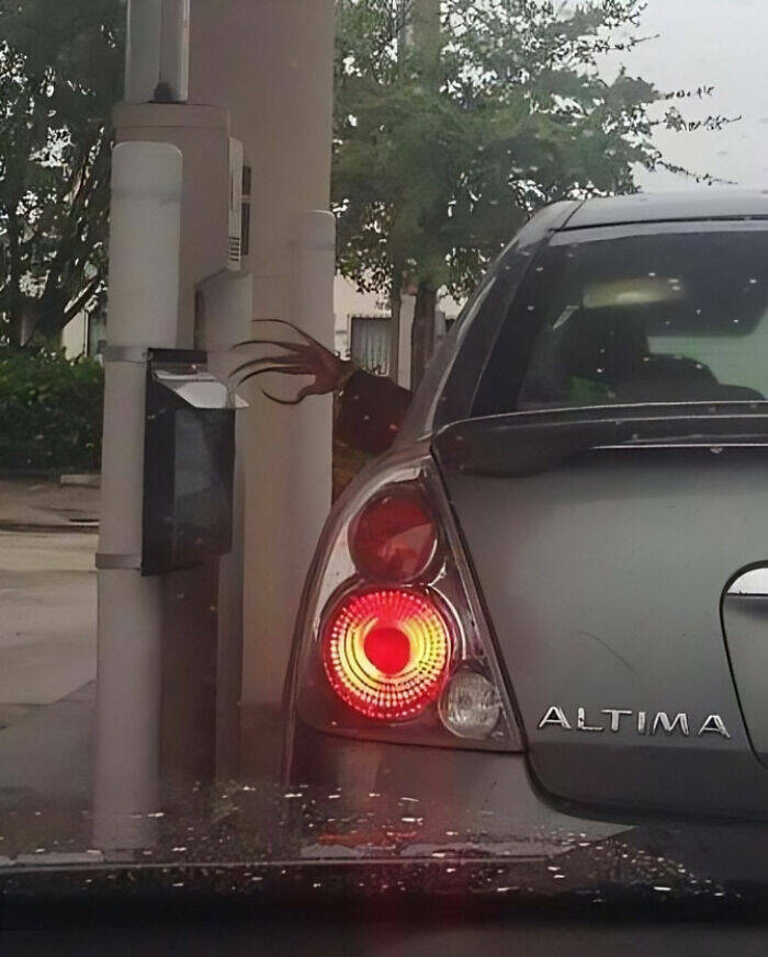 Embrace The Bizarre: Cursed Pics To Spice Up Your Day Embrace The Bizarre: Cursed Pics To Spice Up Your Day