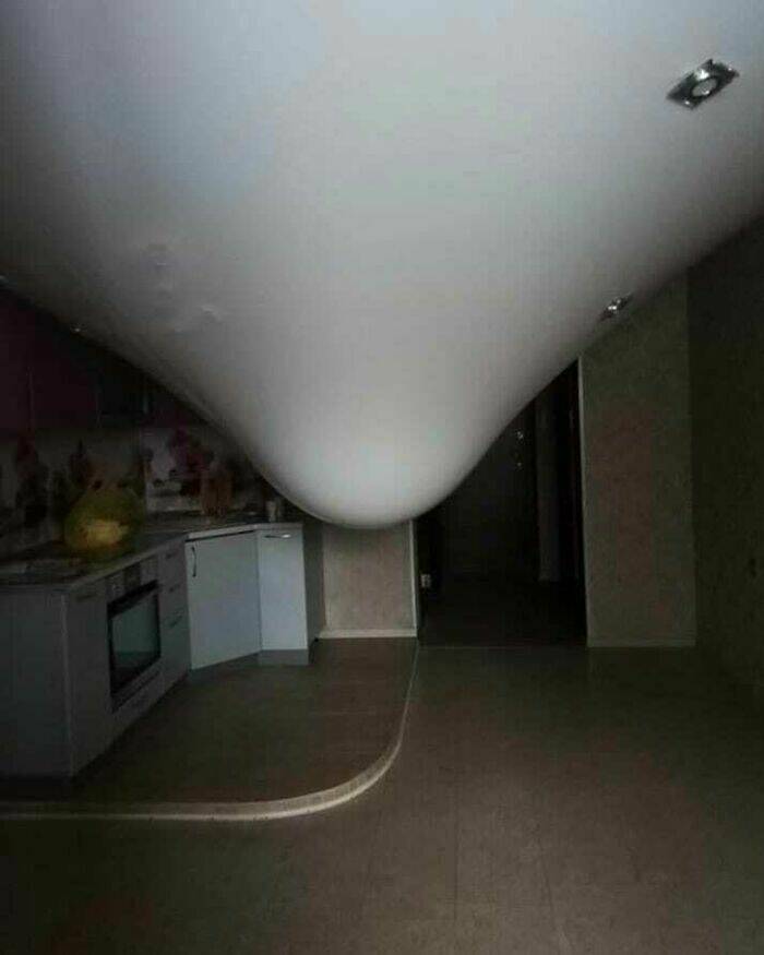 Embrace The Bizarre: Cursed Pics To Spice Up Your Day Embrace The Bizarre: Cursed Pics To Spice Up Your Day