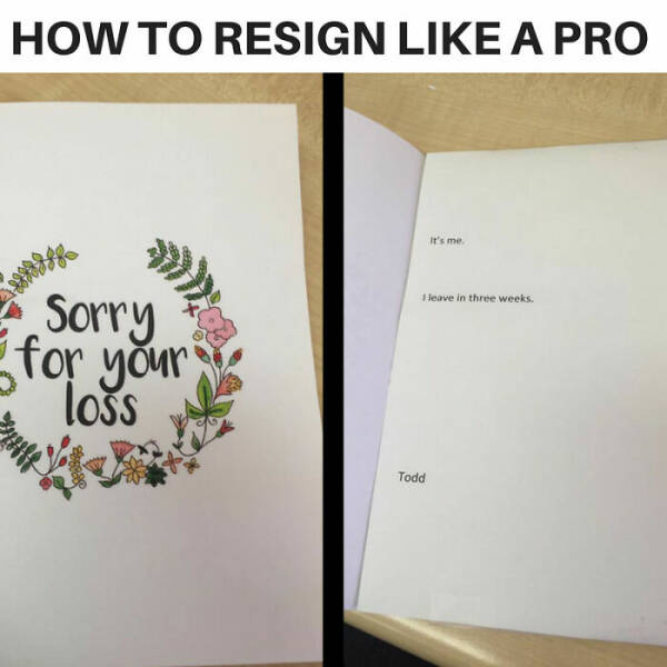 Desk Jockey Humor: Laughing Through The Daily Grind With Memes