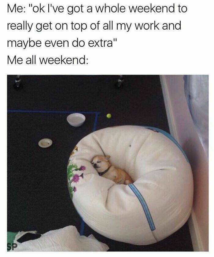 Desk Jockey Humor: Laughing Through The Daily Grind With Memes