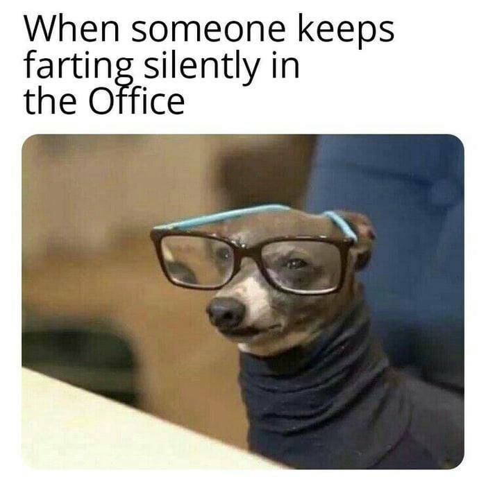 Desk Jockey Humor Laughing Through The Daily Grind With Memes (44 PICS