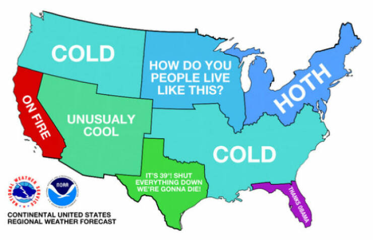 Data-driven Humor: Funny Charts That Sent The Internet Into Fits