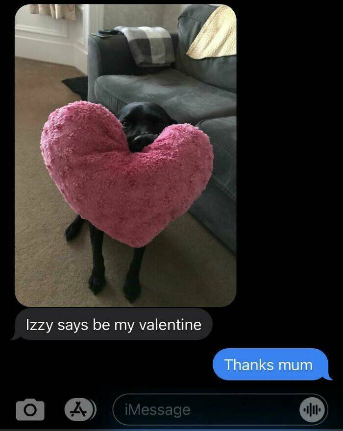Heartwarming Humor: Valentine’s Day Posts To Spread Love And Laughter