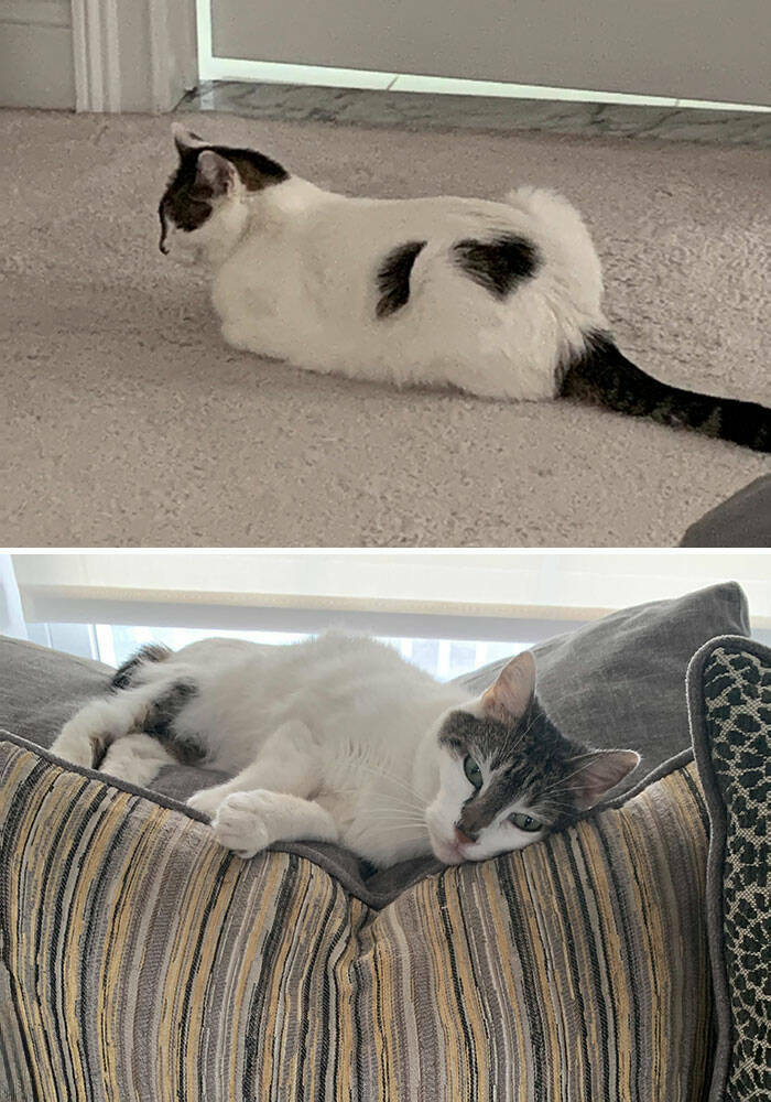 My Husband’s Perfect Valentine’s Card. Happy Valentine’s Day! : R/funny