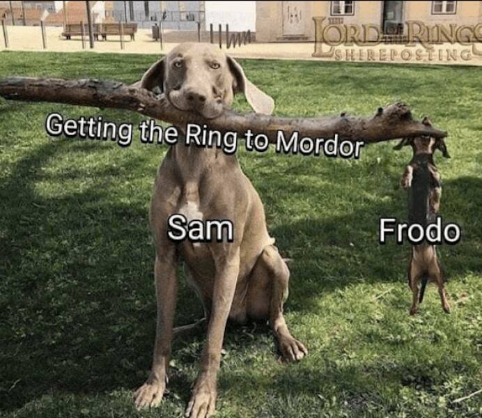 Gandalf Approved: Lord Of The Rings Memes Straight from Morias Abyss