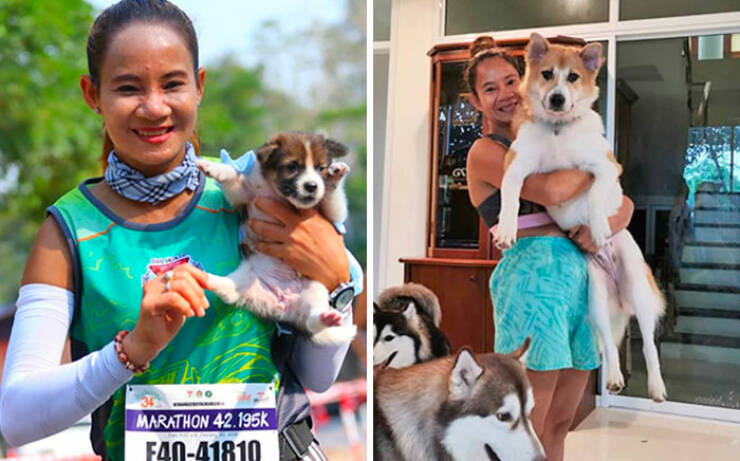 Pawsitively Happy Endings: The Joy Of Adopted Pets