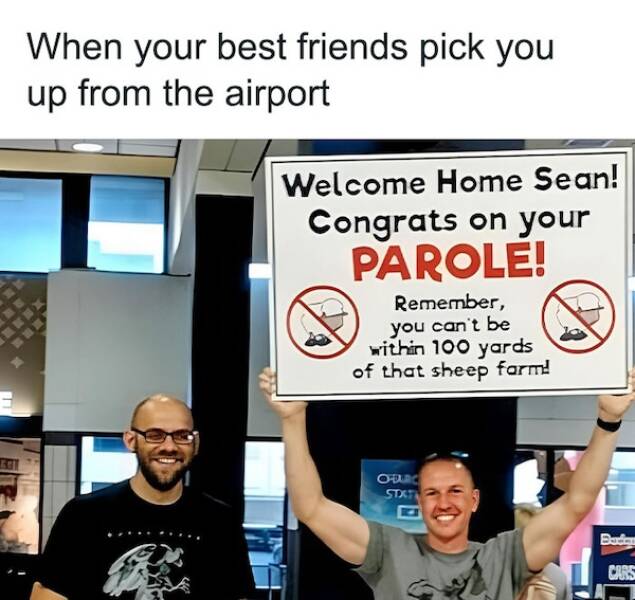 Brotherhood Vibes: Memes That Hit Guys Right In The Gut
