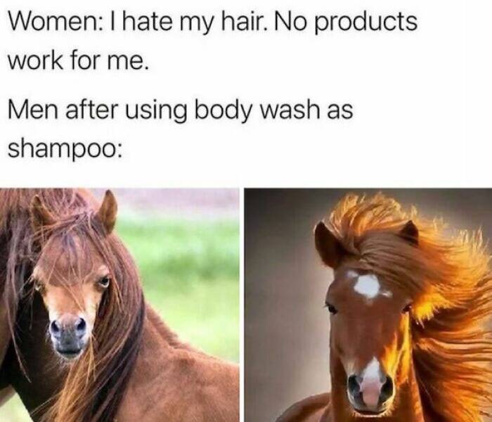 Brotherhood Vibes: Memes That Hit Guys Right In The Gut