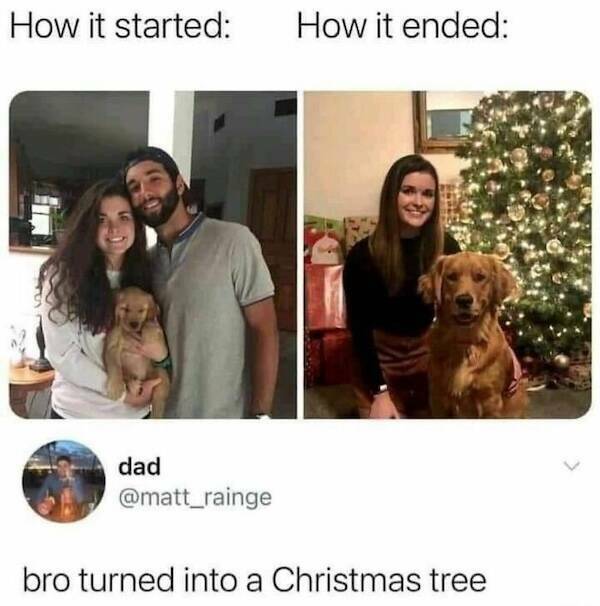 Brotherhood Vibes: Memes That Hit Guys Right In The Gut
