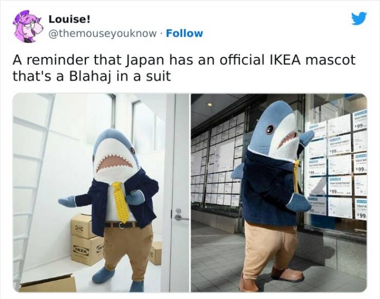 Japan Is A Unique Country