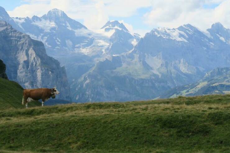 Swiss Splendor: Captivating Pictures Of Switzerlands Wonders