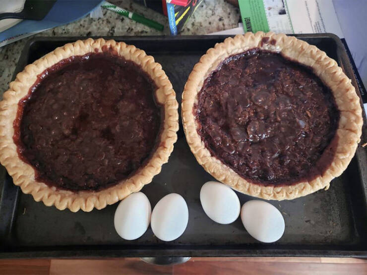 Baking Blunders: When Cake Dreams Crumble In the Oven