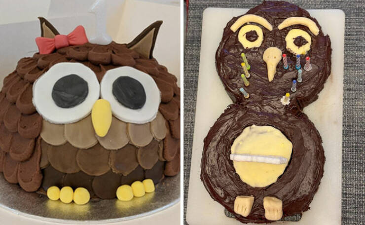 Baking Blunders: When Cake Dreams Crumble In the Oven