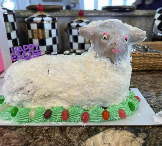 Baking Blunders: When Cake Dreams Crumble In the Oven