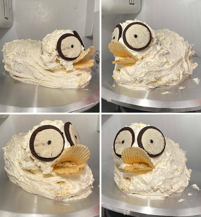 Baking Blunders: When Cake Dreams Crumble In the Oven