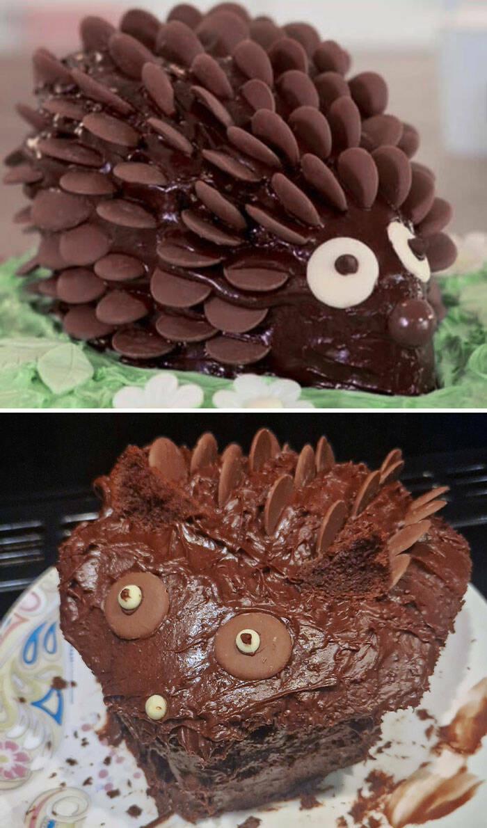 Baking Blunders: When Cake Dreams Crumble In the Oven
