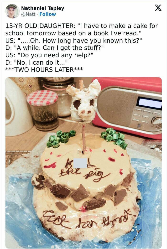 Baking Blunders: When Cake Dreams Crumble In the Oven