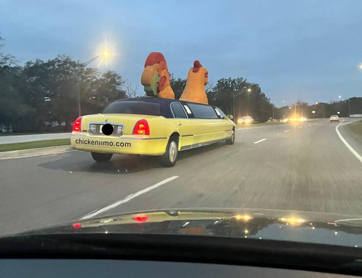 Wild Rides: Exploring The World Of Crazy Vehicles