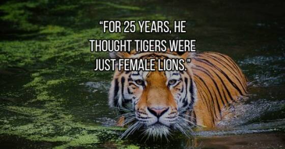 Dumbstruck In Love: Tales Of The Dumbstruck In Love: Tales Of The Im Dating An Idiot Revelation