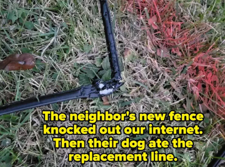 Neighborly Nightmares: Tales Of The Ultimate Neighbors From Hell