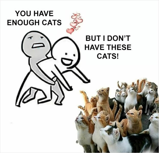 Purr-fectly Hilarious: Cat Memes That Will Make Your Day