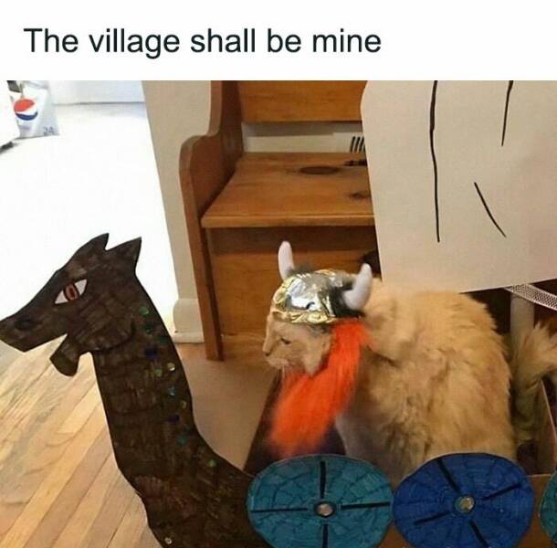 Purr-fectly Hilarious: Cat Memes That Will Make Your Day
