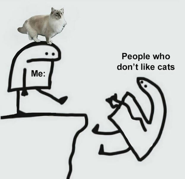 Purr-fectly Hilarious: Cat Memes That Will Make Your Day