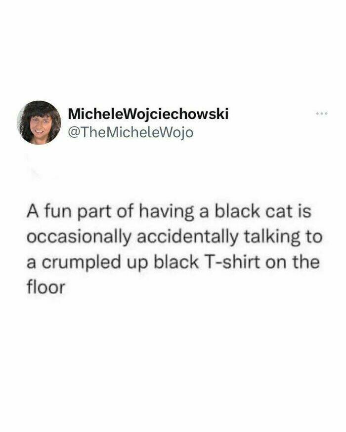 Purr-fectly Hilarious: Cat Memes That Will Make Your Day