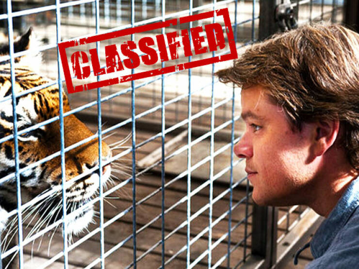 Behind The Bars: Zookeepers Spill The Wild And Untold Secrets Behind The Bars: Zookeepers Spill The Wild And Untold Secrets