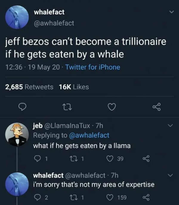 Unconventional Realities: A Fresh Perspective Thats Technically True