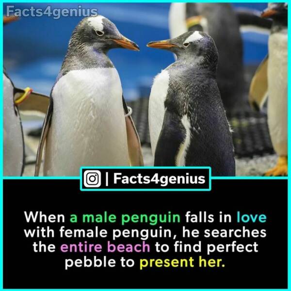 Fascinating Facts Galore: A Diverse Dive Into The Most Interesting Trivia