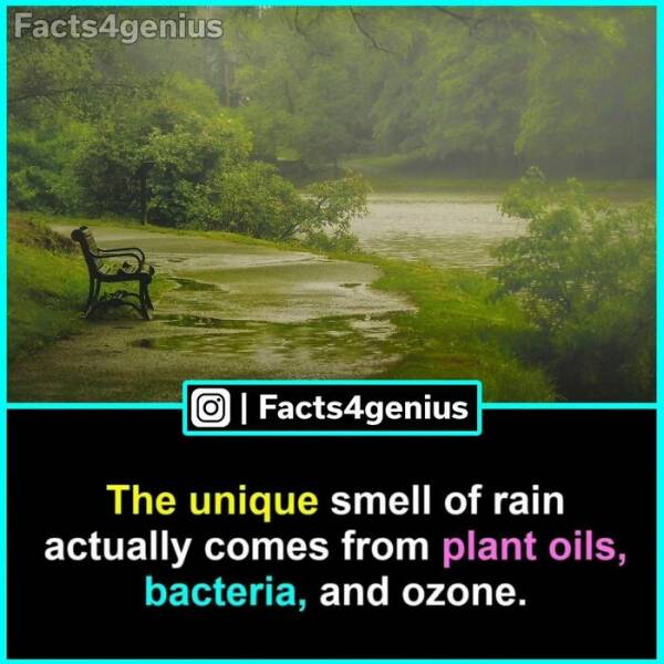 Fascinating Facts Galore: A Diverse Dive Into The Most Interesting Trivia