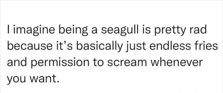 Laughing Through Life: Hilarious Memes From Laughing Through Life: Hilarious Memes From Womens Humor