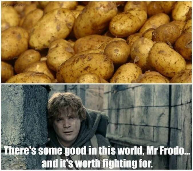 The Return Of LOTR Laughs