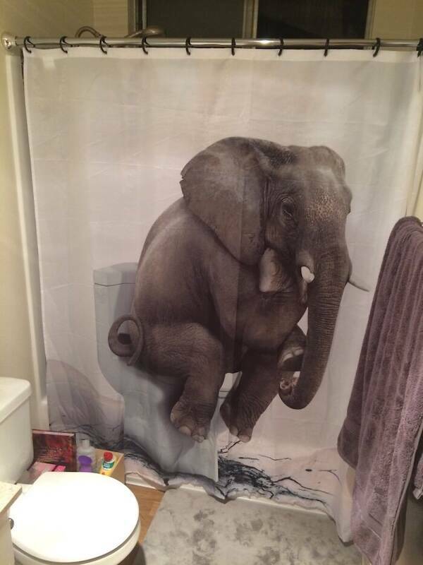 Bath-Time Bizarreness: Insanely Wild Shower Curtain Designs