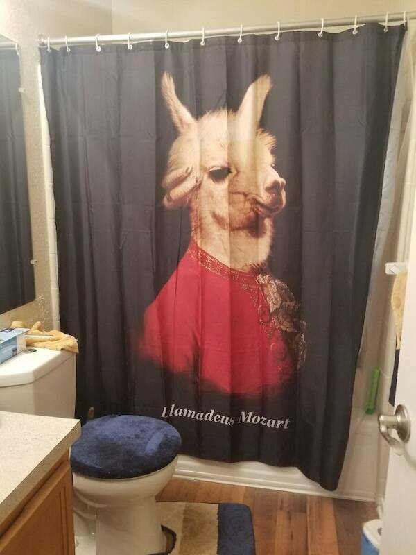 Bath-Time Bizarreness: Insanely Wild Shower Curtain Designs