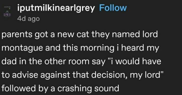 Random Chuckles: Memes To Add Some Humor To Your Day