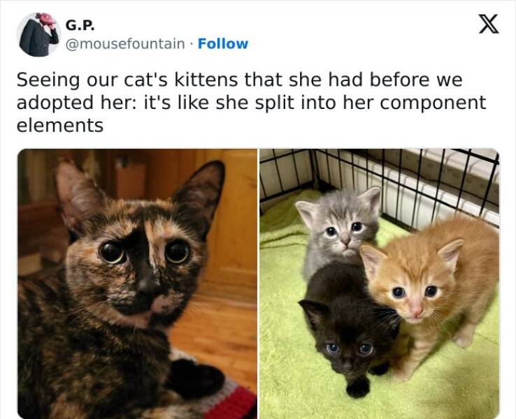 Random Chuckles: Memes To Add Some Humor To Your Day