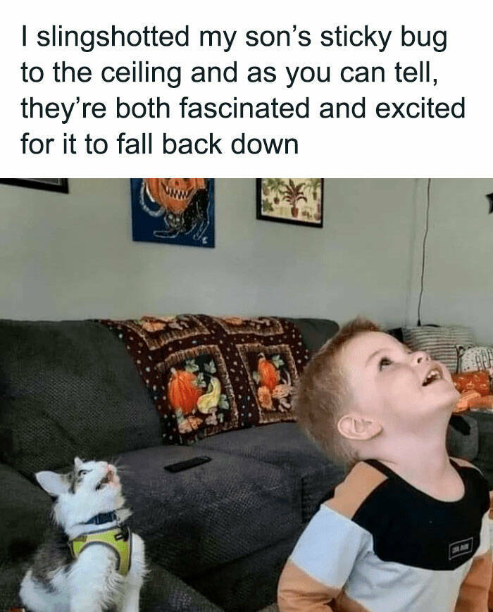 Random Chuckles: Memes To Add Some Humor To Your Day