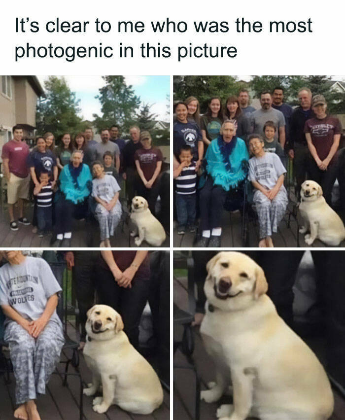 Random Chuckles: Memes To Add Some Humor To Your Day