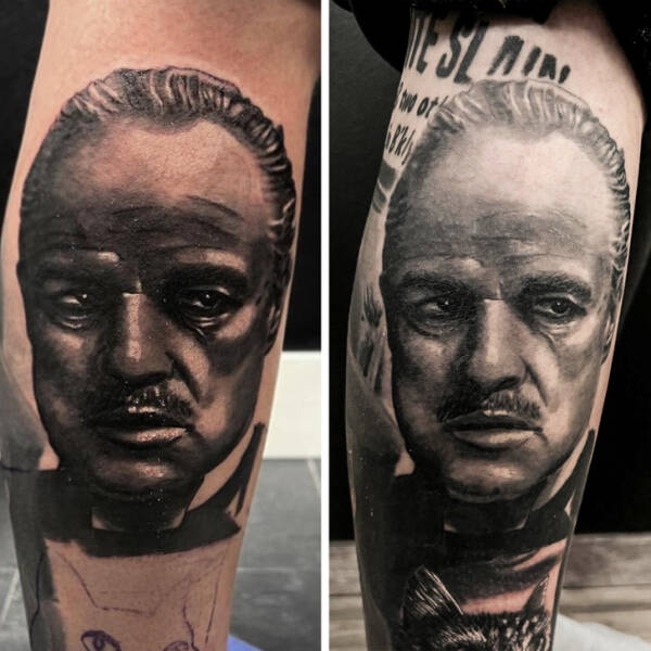 Visual Contrast: Captivating Photos Speaking Louder Than Words